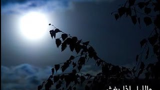 تفسير سورة الليل كاملة  – لفضيلة الشيخ مصطفى العدوي