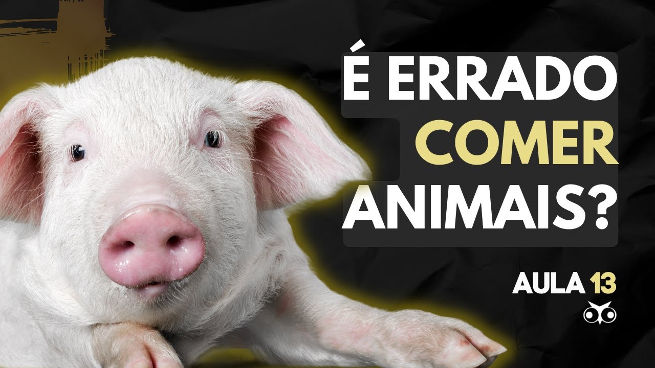 O que a Filosofia diz sobre Ética animal? | Problemas da Filosofia | Prof. Vitor Lima | Aula 13