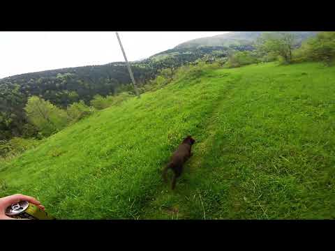 Zawoja Podpolice / Chatka Starzyka