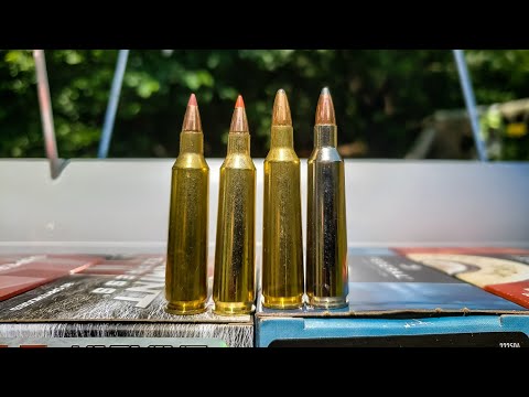 22-250 chronograph speeds - CVA Cascade