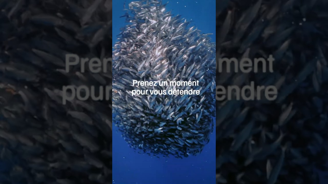 La pêche durable c’est plus de poissons 🐟