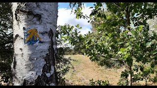 erst Lutherweg & dann Jakobsweg von Frohburg nach Neukirchen Wyhra 6 August 2022