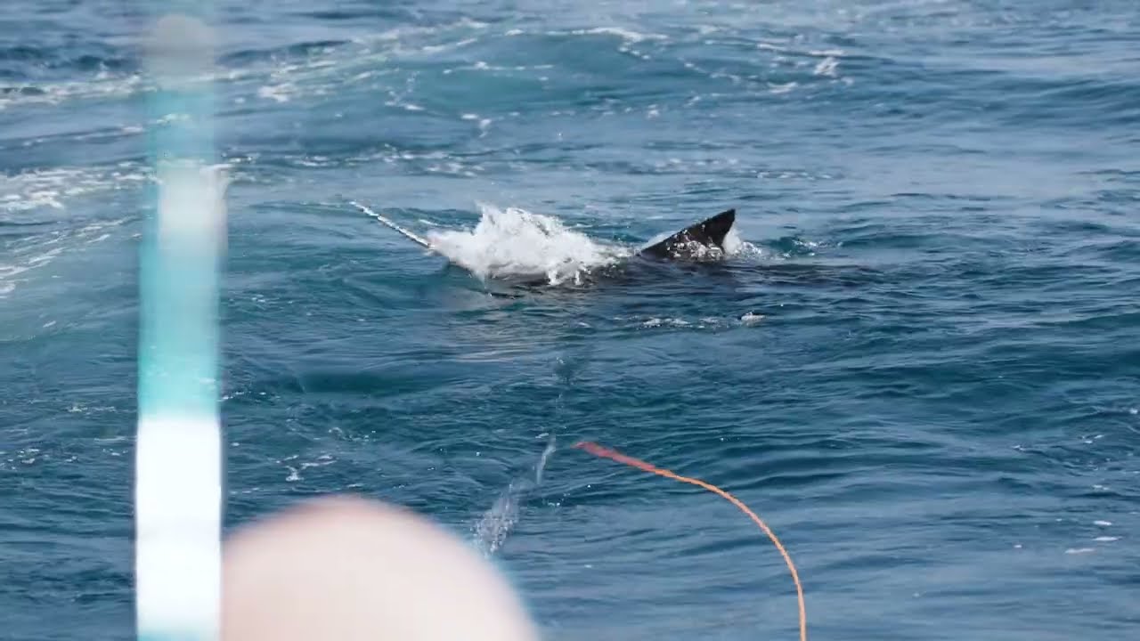 MidCurrent Productions Visual Demo Reel