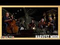 Harvest Moon (Neil Young Cover) | Live From the Firepit | Caryl Mack