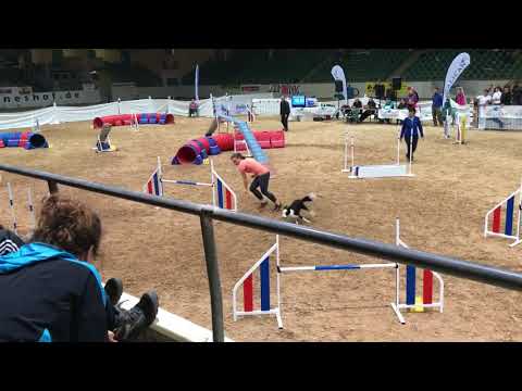 B.A.C.K. 2018 Final - Vice Winner - Iwona Golab & App