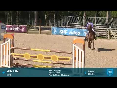 Broodmare by Accorado I x indoctro - Image 2