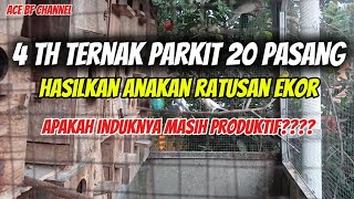 Download lagu Ternak parkit // 4 tahun ternak burung parkit dari sekedar hoby bisa menghasilkan sesuatu mp3