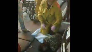 Hampton Brandon blamed for hitting an old lady