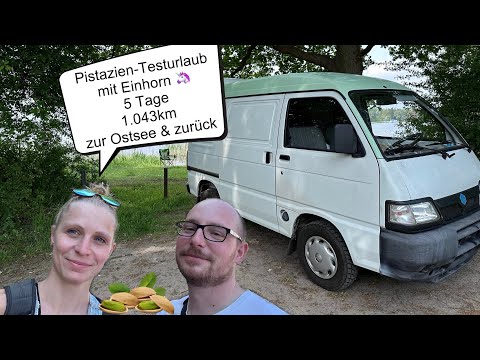 Feuertaufe für die Pistazie - die erste kleine Reise mit provisorischem „Einbau“ ist vollbracht 🦄