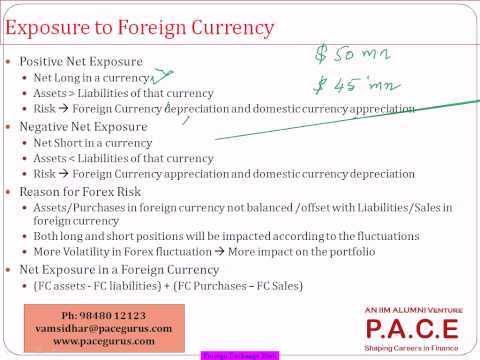 FRM Part 1 Training for Foreign Exchange Risk