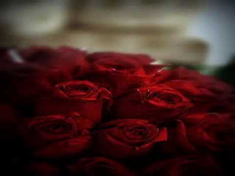 Aigars Grāvers - Atkal Brīvs