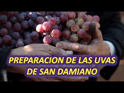 , title : 'Así se preparan las uvas, dejadas por la Santísima Virgen María para el Final de Los Tiempos'