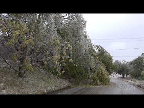 10-27-20 Oklahoma City, OK - Ice storm causes significant damage trees and property in OKC area
