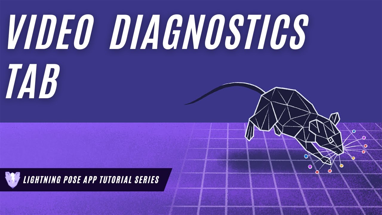 Lightning Pose App - Video Diagnostics Tab