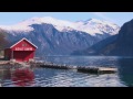 Adult Swim Commercials From January 15 2017