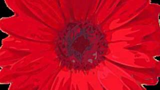 Fiorella Mannoia - Ti ruberò