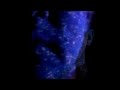 THE CHANT - Minotaur (official video) 
