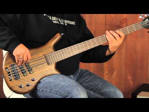 Warwick German Made Pro Series Thumb Bolt On Bass Demo 4 & 5 String