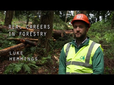 Forestry worker video 1