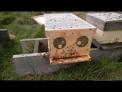 Video over het ontwerp van de Topkast