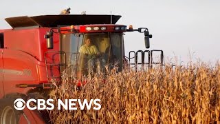 Farm bankruptcies increase over last five years, Politico analysis finds