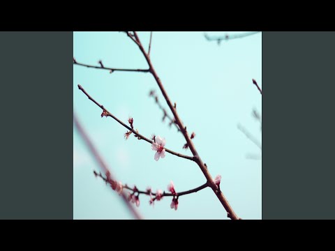 Sixty Second Commercial No.1 (Adonai's Version)