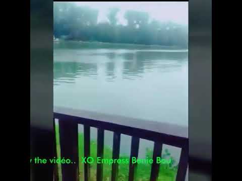 Once upon a time Berlare -  Empress Bénie Bou and Tchocolate  #vlvz by kr8man RSD