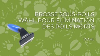 Brosse éliminateur de sous-poils Wahl