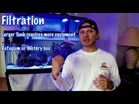 Beginners guide to setting up your first saltwater aquarium