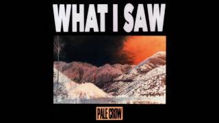 Pale Crow - What I Saw (John Frusciante cover)