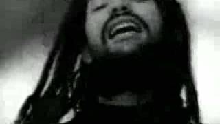 Gondwana - Ignorancia