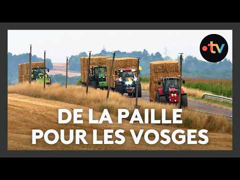 Des céréaliers parcourent 200 kilomètres pour acheminer de la paille à des éleveurs en détresse