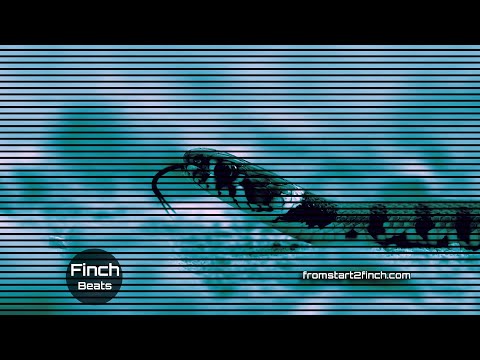 From start 2 Finch : Mevia Fatale - Sneller (hook)