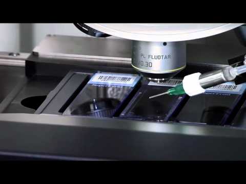 CytoVision Metaphase finding