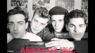 Misfit -  Curiosity killed the cat