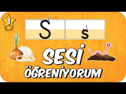S Sesi Öğretimi 🪰 Okunuşu ve Yazılışı🪱 1.Sınıf #2025