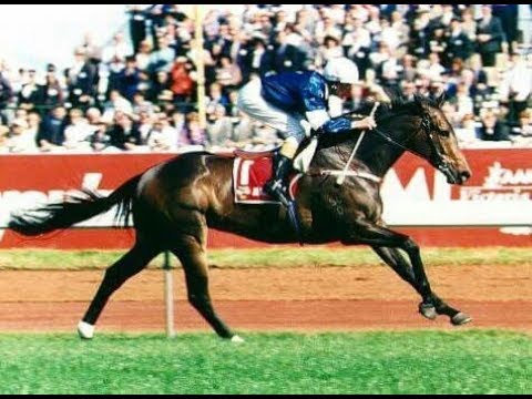 1993 VRC Victoria Derby