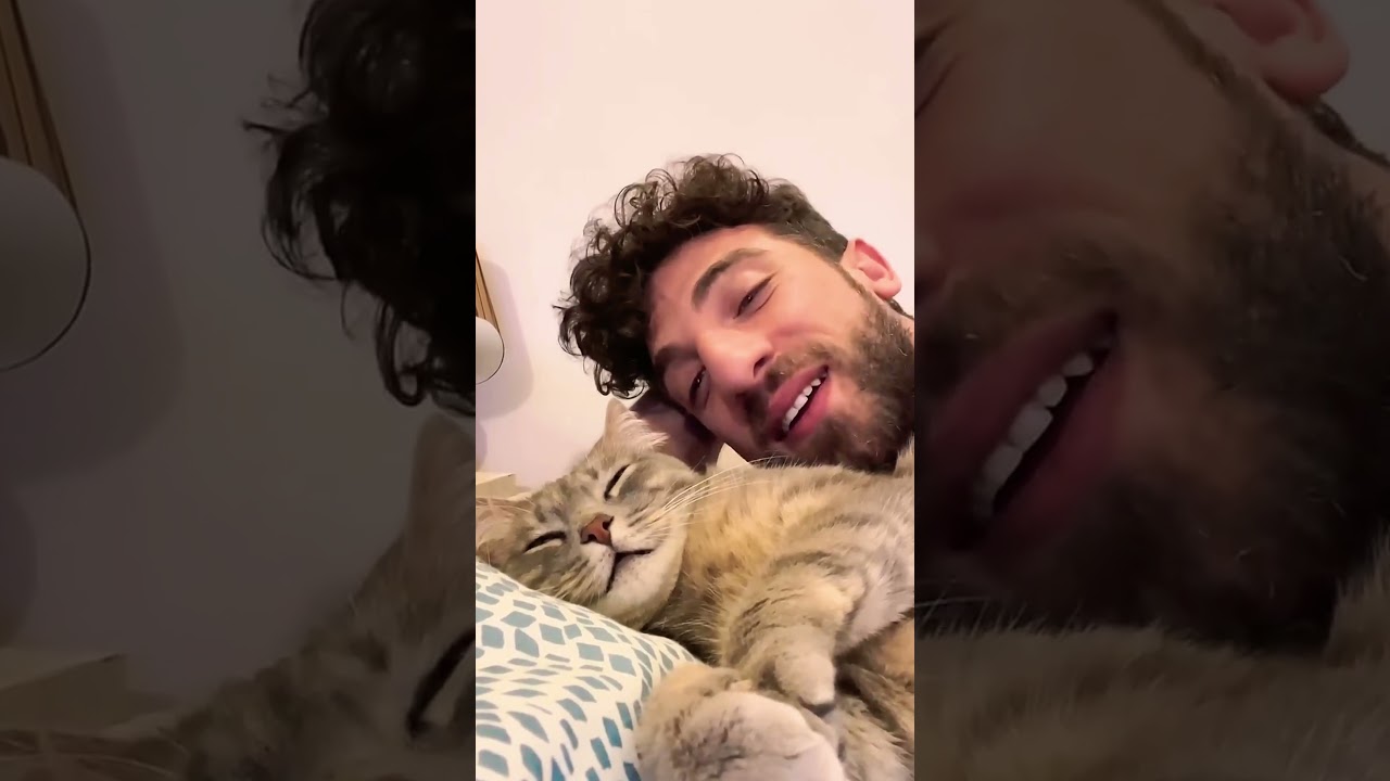 世界一モノマネが上手な猫ちゃんがヤバすぎる　#ねこ #動物 #犬