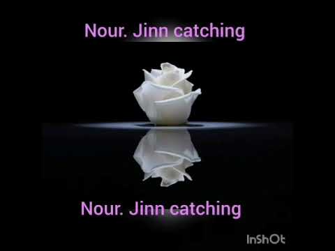 Dova za sretnu obitelj