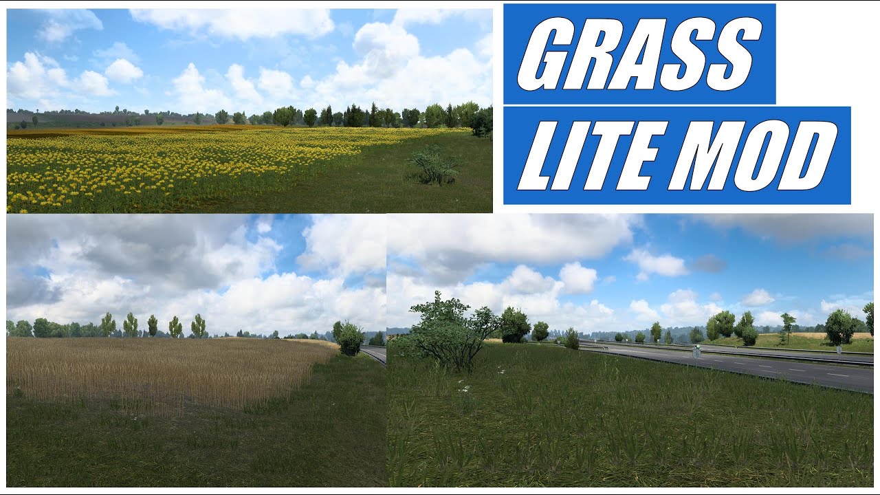[ ETS 2 1.46 ] GRASS LITE MOD 2.64