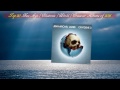 Top 20 New Age / Electronic / World / Crossover Albums of 2016 Top 20 New Age / Electronic / World / Crossover Albums of 2016