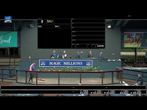 2021 Gold Coast National Broodmare Sale - Day 3