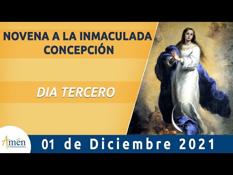 Inmaculada Concepción Novena l Dia 3 l Padre Carlos Yepes