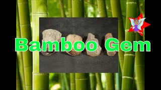 preview picture of video 'Bamsha Moti or Bamboo Gem - www.occulttreasures.com'