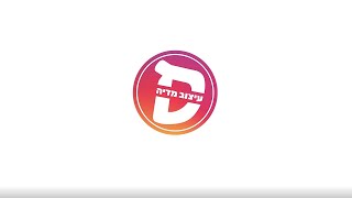 נציגי חברות מספרים על תכנית המתמחים של מגמת עיצוב מדיה בספיר