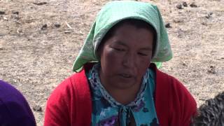 preview picture of video 'La Peor Sequía de Todos Los Tiempos en Chihuahua México parte 4'