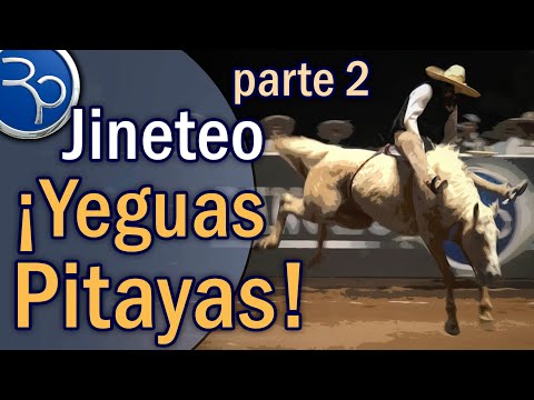 Brutal Mares! Mare Riding Part 2 - 5th Million Tournament 2019