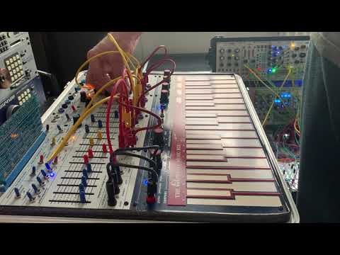 Buchla Music Easel jam