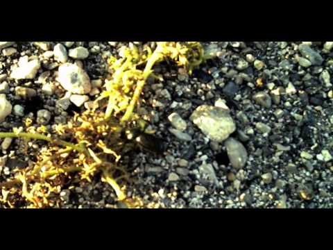 Serge Devant - Making of 'Take Me With You'