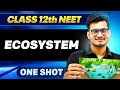 ECOSYSTEM In ONE SHOT All Concepts Tricks PYQ Ummeed NEET